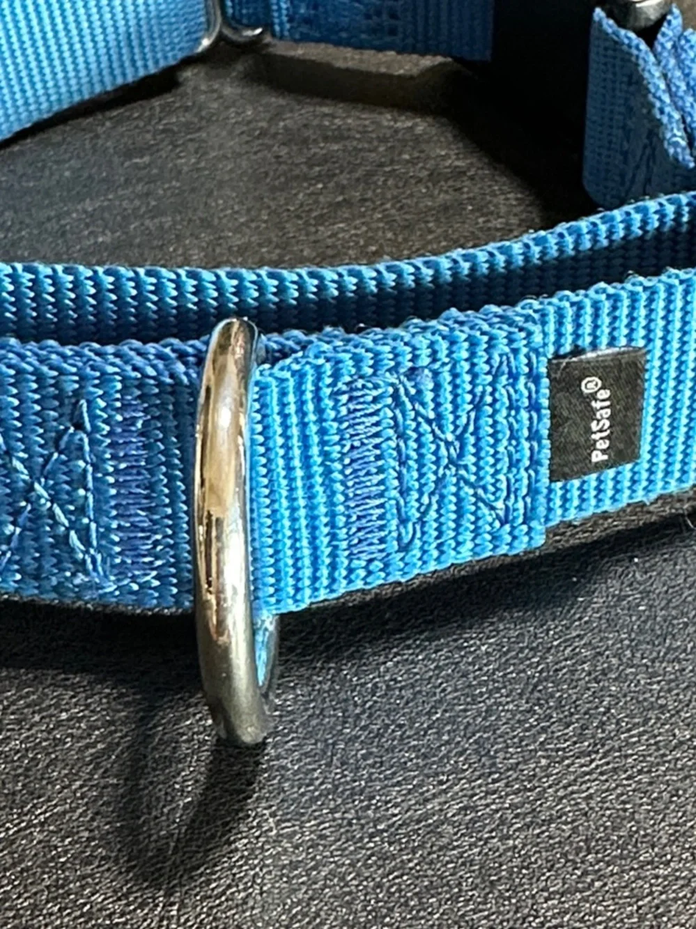 Petsafe Large Blue Nylon New Dog Collar